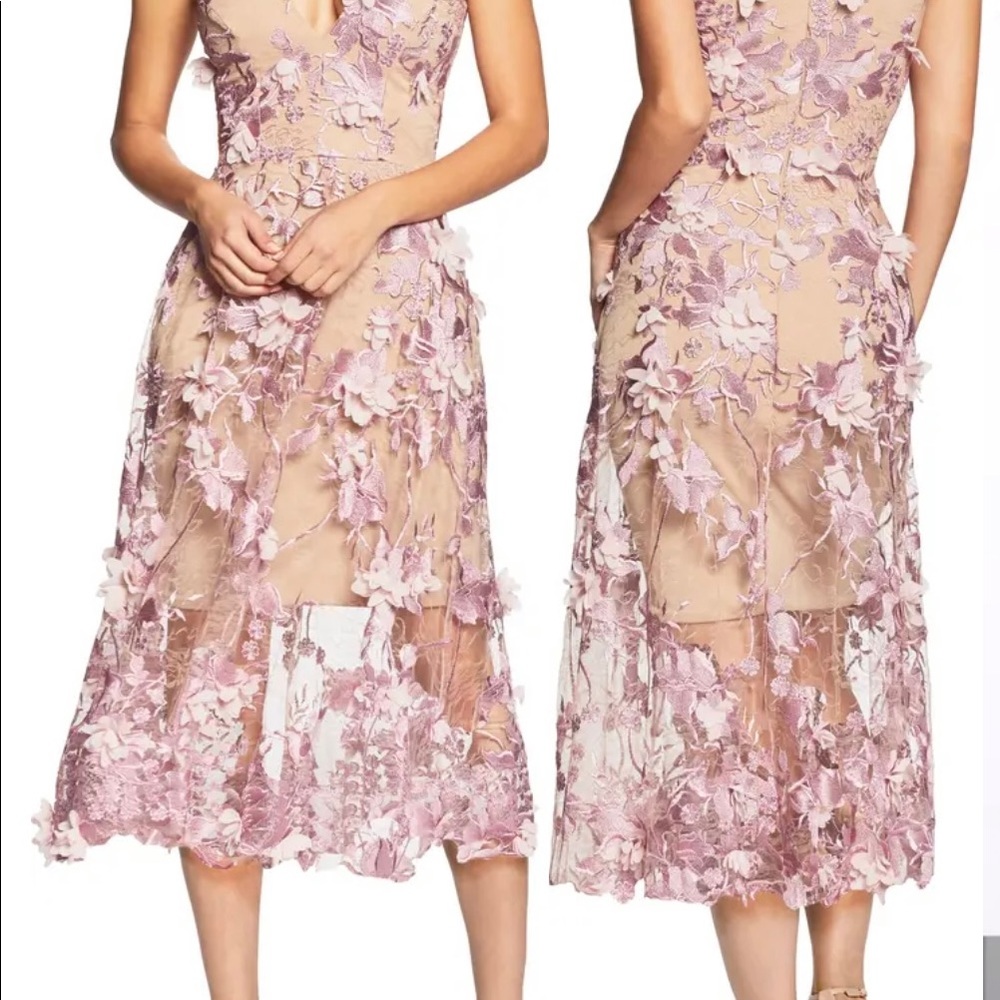 Dress the population lace with Applique flowers, full price at retails stores